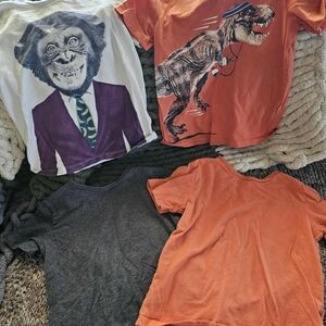 Spotted Zebra T-Shirt Bundle Sz 4t